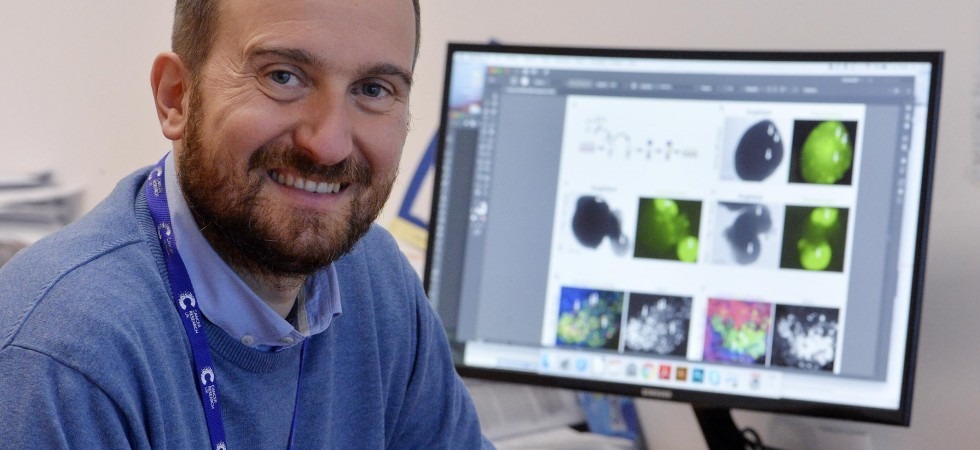 Il trentino Luca Tiberi eletto miglior scienziato under 40 d'Europa